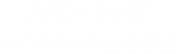 入社～3ヶ月：アイズのいろはを学ぶ