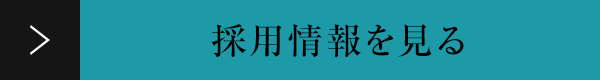 採用情報を見る